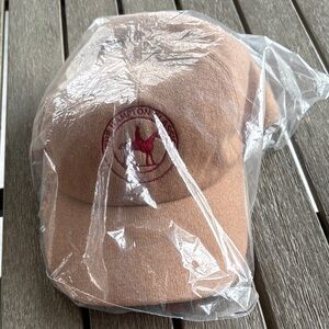 Quince 100% cashmere Tan Baseball Cap
